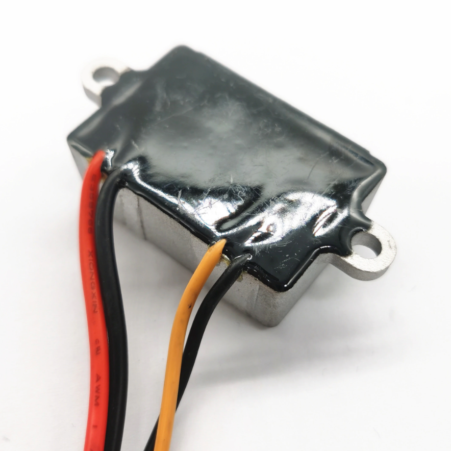 Accesorio para patinetes eléctricos - DC Minimotors 12V 5A